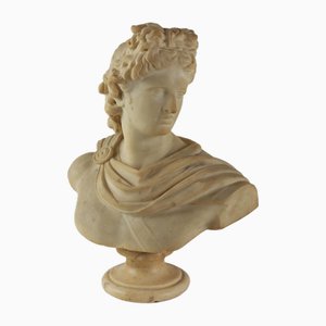Busto Apollo del Belvedere, marmo