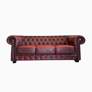 Vintage Chesterfield Sofa in Leather