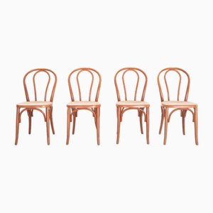 Chairs in Curved Beech Wood and Straw Seat, 1990s, Set of 34