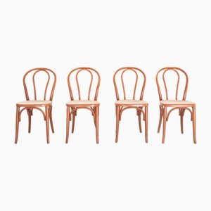 Chaises en Hêtre Courbé et Siège en Paille, 1990s, Set de 34