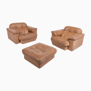 Ds 101 Brown Leather Lounge Chairs from de Sede, 1970s