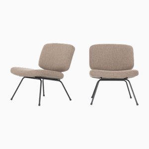 Set of Vintage Low Chairs by Pierre Paulin for Thonet, 1950