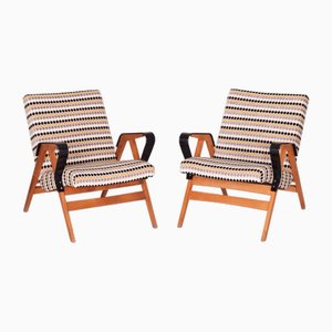 Mid-Century Armchairs by Tatra-Pravenec, 1950s, Set of 2