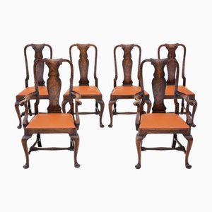 Queen Anne Revival Burr Walnut Dining Chairs, 1910s, Set of 6