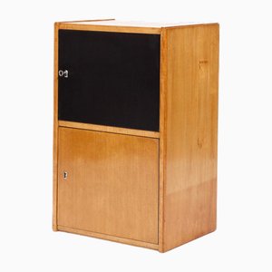 Vintage Wandschrank, 1960er