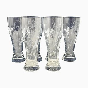 Large Engraved Beer Glasses with Wheat and Fruit Pattern, 1950s, Set of 6