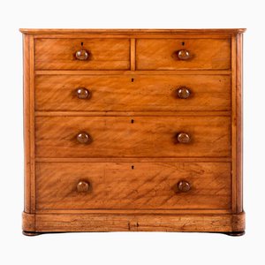 Large Victorian Satin Birch Drawers