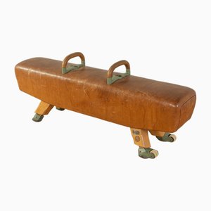 Pommel Horse Bank, 1960er