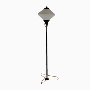 Mid-Century Floor Lamp from Stilnovo, 1960s