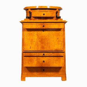 Biedermeier Secretary in Birke, 1820