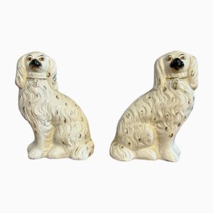 Perros Staffordshire victorianos antiguos, 1880. Juego de 2