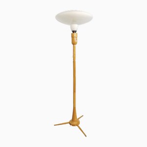 Floor Lamp by Krasna Jizba