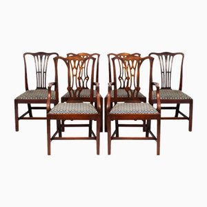 19th Century Chippendale Revival Dining Chairs, Set of 6