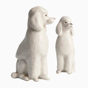 Perros caniche de porcelana blanca pintada a mano de Lomonosov, años 60. Juego de 2