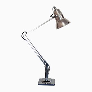 Anglepoise Lamp from Herbert Terry & Sons