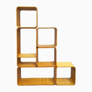 Double-Sided Bookcase by Carlo De Carli for Fiarm, 1970s