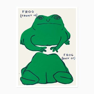 David Shrigley, Frog, 2021