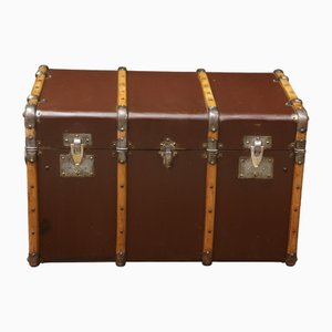 Brown Fitted Trunk