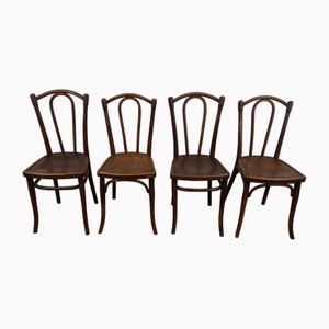 Sedie da bistrò di Thonet, metà XIX secolo, set di 4