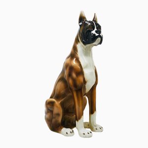 Boxer Dog Lebensgroße Majolika Statue Skulptur aus Glasierter Keramik, Italien, 1970er