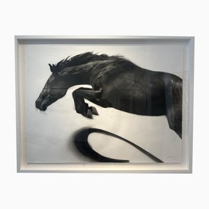 Patsy McArthur, Momentum, Charcoal on Paper, 2018, Framed