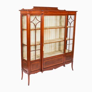 Antique Edwardian Display Cabinet attributed to Maple & Co., 1900s
