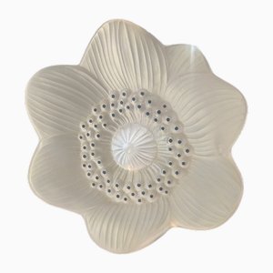 Fermacarte a forma di fiore di anemone in cristallo di René Lalique, Francia