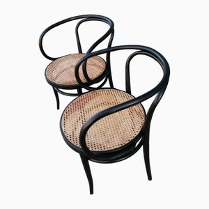 Set of Mid-Century Model 209 Armchairs attributed to Michael Thonet for Thonet
