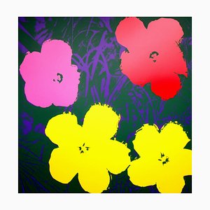 Domingo B. Mañana después de Andy Warhol, Flowers 11.65, Serigrafía