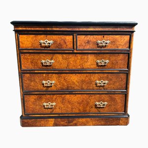 Burr Walnut Chest of Drawers, 1850s