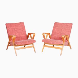 Set of Mid-Century Armchairs attributed to Tatra Pravenec, 1950s