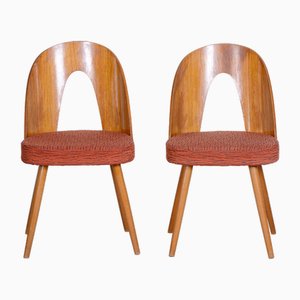 Mid-Century Beech Chairs attributed to Antonín Šuman, 1950s, Set of 2