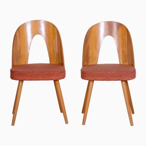 Set of Mid-Century Beech Chairs attributed to Antonín Šuman, 1950s