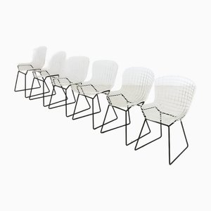 Wire Dining Chairs by Harry Bertoia for Knoll, 1970s, Set of 6