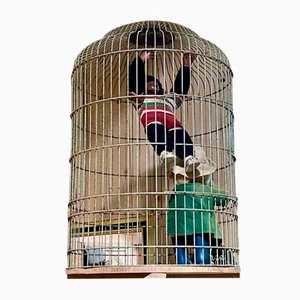 Grande Cage à Oiseaux avec Fond en Chêne, 1970s