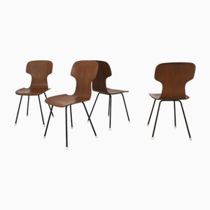 Bentwood Dining Chairs in the style of Carlo Ratti, Italy, 1960s, Set of 4