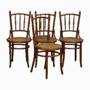 Dining Chairs from Thonet, Set of 4