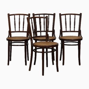 Dining Chairs from Thonet, Set of 4