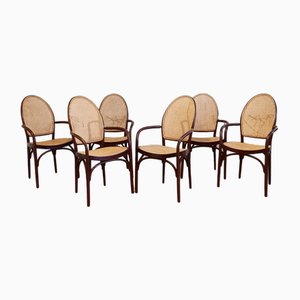 Bentwood and Rattan Dining Chairs from Thonet, 1982, Set of 6