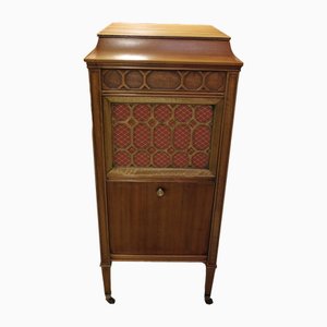 Vintage Cabinet in Mahogany