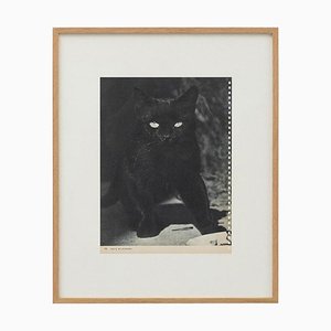 Fritz Wilkinson, Photo Gravure, 1940s, Paper, Framed