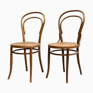 Bentwood and Rattan Chairs from J&J Kohn, 1930s