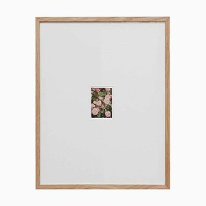 David Urbano, The Rose Garden No. 14, 2017, Impression Giclée, Encadrée