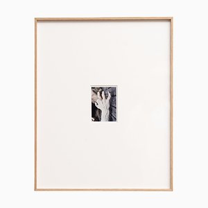 Pascal y Vastian, 2015, Fotografía, Enmarcado