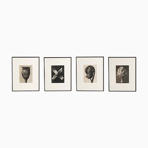 Karl Blossfeldt, Wunder in der Natur, Photogravures, 1942, Framed, Set of 4