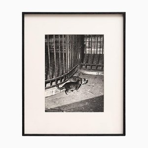 Brassaï, Schwarz-Weiß-Bild, Tiefdruck, 1930, Gerahmt
