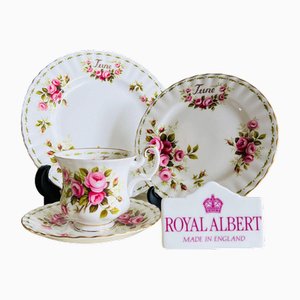 Taza de té y platillo June Roses serie flor del mes vintage, platos grandes y pequeños de Royal Albert. Juego de 4