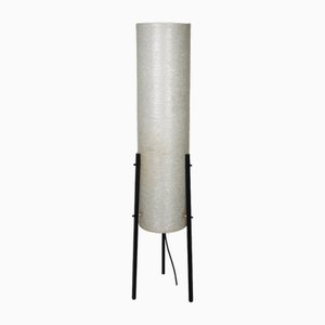Lámpara trípode Mid-Century de fibra de vidrio de Dame and Co., años 60
