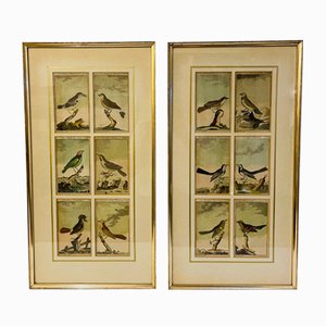 Bird Illustrations, 1940s, Hand-Colored Lithographs, Framed, Set of 2