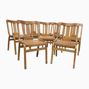 Bentwood Dining Chairs from Ton, Former Czechoslovakia, 1970s, Set of 30